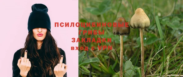 СК Володарск