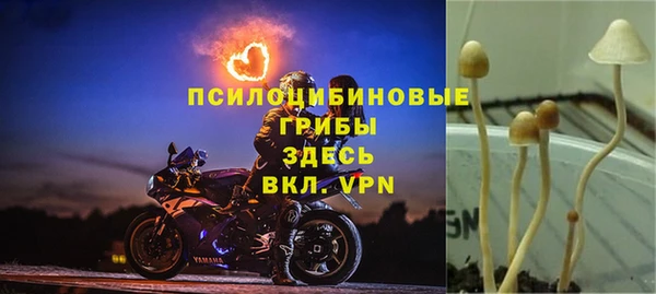 прущие крисы Волосово