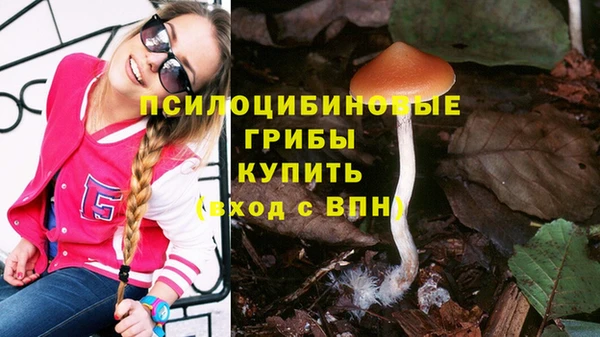 прущие крисы Волосово