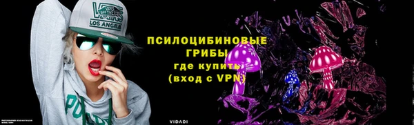 СК Володарск