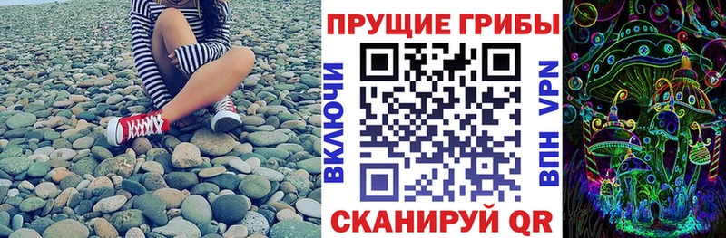 Псилоцибиновые грибы Psilocybe  Купить  Луховицы 